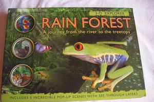 Libro 3d Rain Forest En Ingles