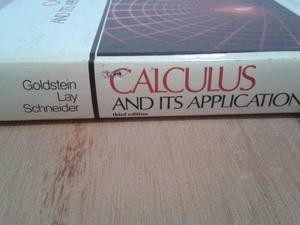 Calculus And Its Applications/ Goldstein / Lay/ Schneider