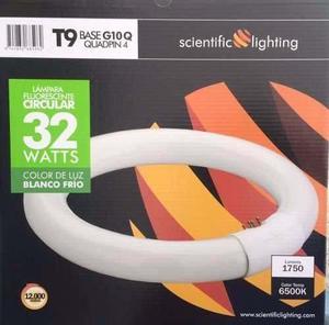 Tubo Fluorescente Circular 32w Scientific Lighting