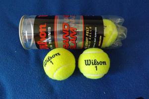 Pelotas De Tenis Wilson 1 Set De 3
