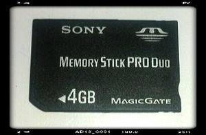 Memoria Sd Sony 4gb