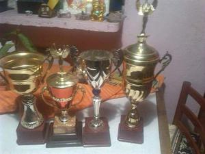 Vendo Trofeos