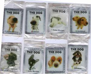 Calcomanias Del Album Panini The Dog Artist Collection