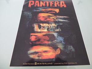 Pantera / Calcomanía / Stickers / Original / Made In U.s.a