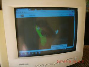 Monitor De 15 Pulgadas Ctr Samsung