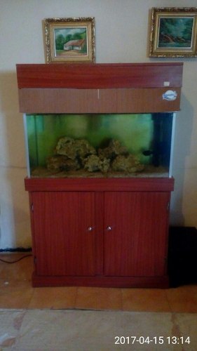 Acuario Marino Con Todo