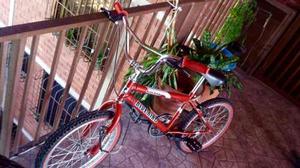 Bicicleta Blue Bird Rin 20