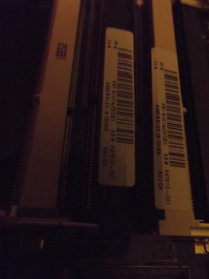 Tarjeta Madre Hp  Mbd-inglewood Ntel Motherboard