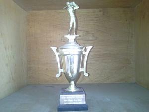 Trofeo De Golf Tipo Copa 09 Cm X 33 Cm Con Base De Madera