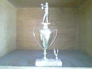 Trofeo De Golf Tipo Copa 13 Cm X 35 Cm Con Base De Mármol