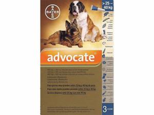 Pipetas Perros Antipulgas Advocate 25 A 40kg De Bayer