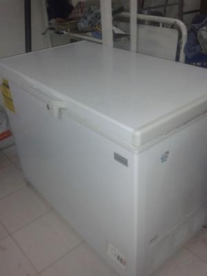 Vendo Congelador Dual 324 Litros Gasco