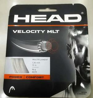 Cuerdas Head Velocity Mlt