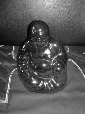 Budas Fenshui Expectacular Zen