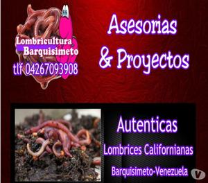 Lombrices Californianas en Venezuela, Asesorias y Proyectos.