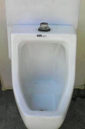 Urinario Sanitarios Maracay Usado En Buen Estado