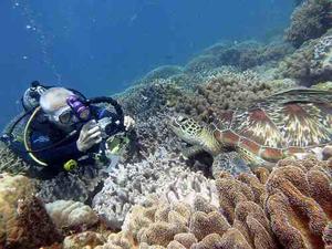 Curso De Buceo Con Certificación Internacional