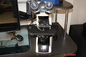 Microscopio Binocular Globe-n200