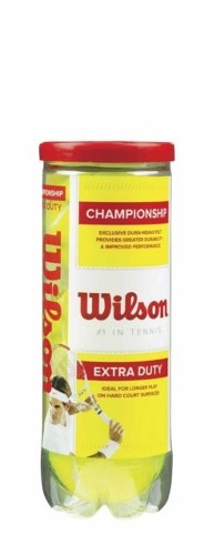 Pelotas Tenis Wilson Extra Duty (Championship)