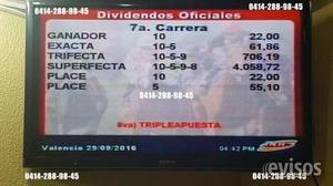 Carreras De Caballos En Vivo,video Hipico En Vivo