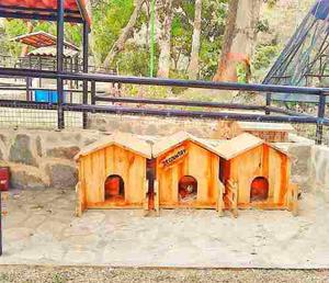 Casa Para Mascotas Raza Pequeña Madera De Pino