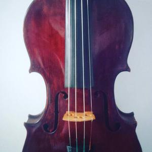 Violin 4/4 Profesional De Autor