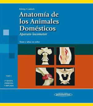 Anatomía De Los Animales Domésticos - Konig.liebich Tomo 1