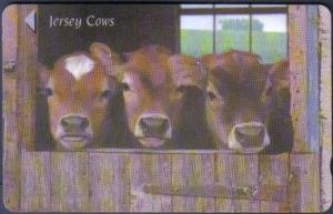 Tarjeta Telefónica Gpt De Jersey Vacas