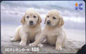 Tarjeta Telefónica Magnetica De Japón Dos Perros