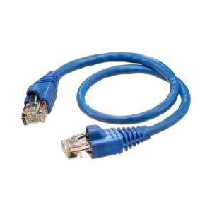 Cable De Internet O Pach Cord 1mt