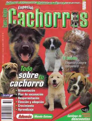 Canes & Amigos 32 Especial Cachorros