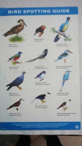 Bird Spotting Guide