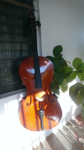 Cello 4/4 Con Cuerdas D'addario Helicore