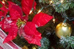 Flores De Navidad Para Decorar Arboles, Coronas, Linda Navid