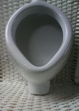 Urinario Con Bajante (Sifon)