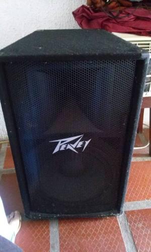 Peavey Pv w 15 Passive Speaker