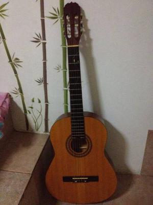 Guitarra Acústica Angélica Cg 12