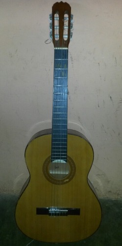 Guitarra Acústica Hohner Americana