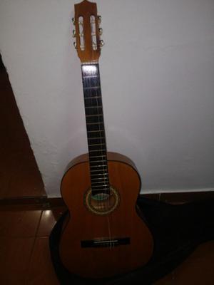 Guitarra Acústica Oferta