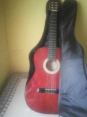 Guitarra Acústica Palmer