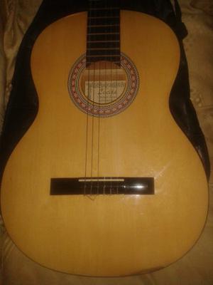 Guitarra Acustica