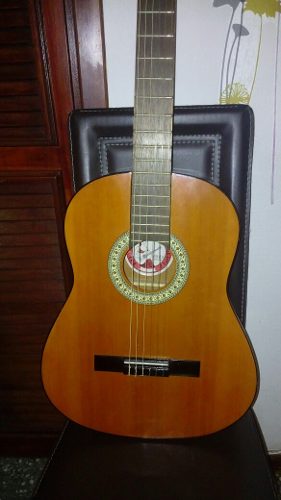 Guitarra Acustica Martinez