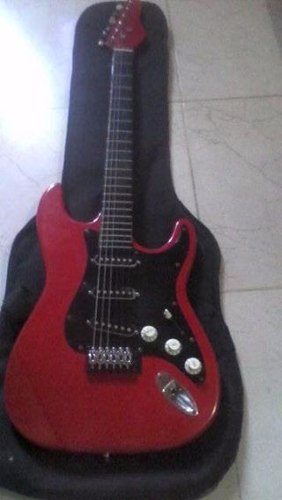 Guitarra Electrica D'andre