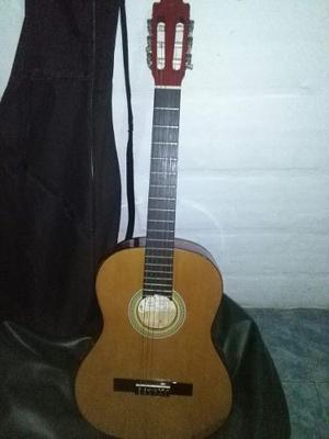 Guitarra Electroacústica Marca Palmer