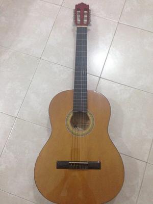 Guitarra Palmer