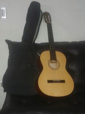 Guitarra Palmer Perfecto Estado