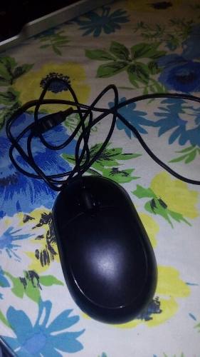 Mouse Fc