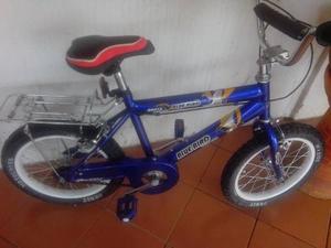 Bicicleta Rin 16 Bluebird Nueva