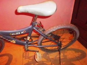 Bicicleta Para Niña Rin 20