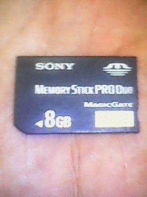 Memory Stick Pro Duo 8gb Sony Para Psp Full Juegos
